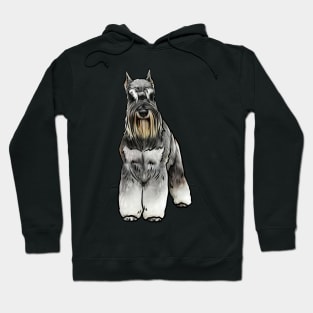 Miniature Schnauzer Dog Hoodie